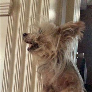 Meet your Posher, Jonathan